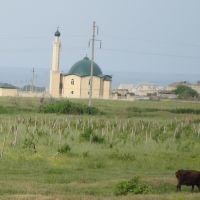 Мечеть в селе Новый Уркарах, Дагестанские Огни