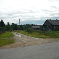 Дорога на лесхоз в Дикой, Ершовка