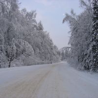 Зимняя дорога, Архиповка