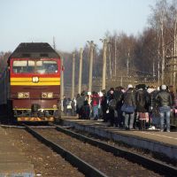 Прибытие поезда на станцию "Вичуга", Вичуга
