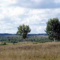 Пейзаж в районе д. Жуково, Дуляпино