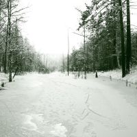 Ручей в овраге (зимой), Саянск