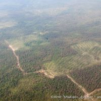 Вырубки леса, Чунский