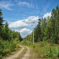 ЛЭП в лесу. - Power lines in the Siberian forest., Атагай