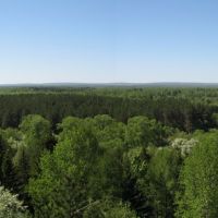 Панорама с ул. Набережная, Бирюсинск