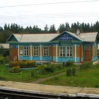 Вокзал станции Топорок, Квиток