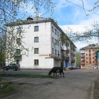 Towns house, Усть-Кут