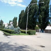 Бульвар "Сотка"/The boulevard "Sotka", Прохладный