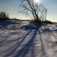 Зимние тени на прибрежных дюнах в Балтийске., Балтийск