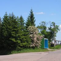 автобусная остановка у моста, Гвардейск