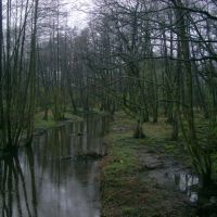вид на речку Гурьевку с деревянного мостика, Гурьевск