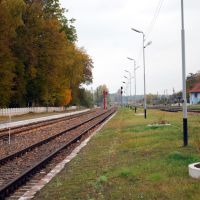 Station tracks (view of the north), Железнодорожный
