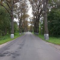 road..., Зеленоградск