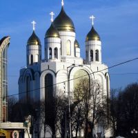 Cathedral of Christ the Saviour, Калининград