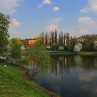 Lower pond in spring - Нижний пруд весной, Кенисберг