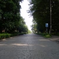 Улица Артиллерийская (Artillery Street), Мамоново