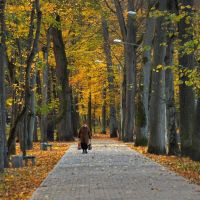 Осень в Городском парке в Советске., Советск