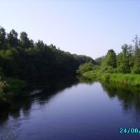 Западная Двина, Андреаполь