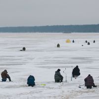 Fishermans on the ice of Volga, Белый Городок