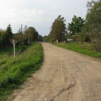 Новая дорога на Ордынок, Жарковский