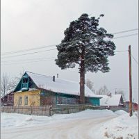 Жизнь под сосной в Западной Двине, Западная Двина