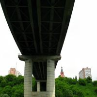 взгляд из-под моста, Ржев