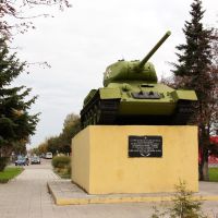 Танк Т-34, Ржев