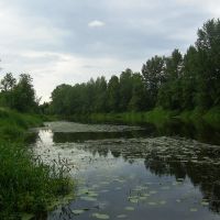 Река Селижаровка (The Selizharovka river), Селижарово