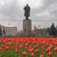 Tulips and Lenin, Тверь