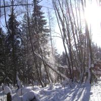 Зимний лес, Удомля