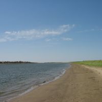 Волга, остров; вдалеке на высоком берегу видна Ветлянка, Юста