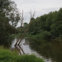 Река в Боровске, Боровск