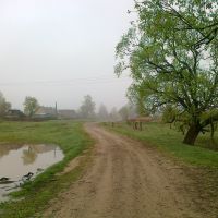 near Bryn village, Думиничи