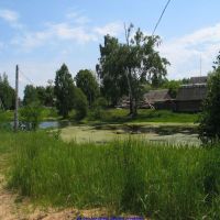 Гутовский пруд (12.06.2009), Еленский