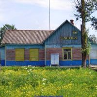 Станция Еленск (12.06.2009), Еленский