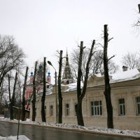 extreme pruning, Калуга