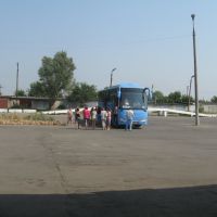 автобус, Козельск
