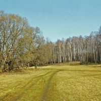 Пейзаж с берёзками у Протвы, Обнинск Пейзаж с берёзками у Протвы, Обнинск