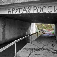 "Другая Россия", Обнинск "Другая Россия", Обнинск