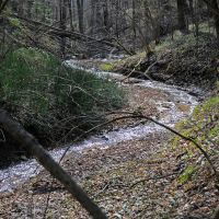 Журчат ручьи, Обнинск Журчат ручьи, Обнинск