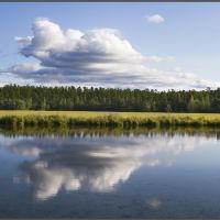Озеро Амрок #2, Крапивная