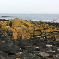 Камни на отливе у острова Беринга, Никольское