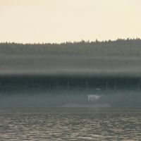 evening mist 2, Медвежьегорск