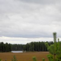 Клюквенное болото, Муезерский