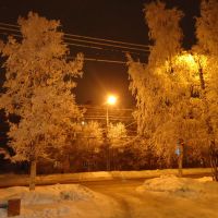 Зимняя сказка, Петрозаводск