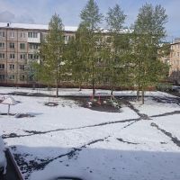 Днем было +18, утром посмотрел в окно, а там снег лежит. Я что лето проспал?!!, Березовский