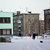 town cat - restless life (moment 2 of 3), Гурьевск