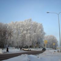 Февральское утро, Киселевск