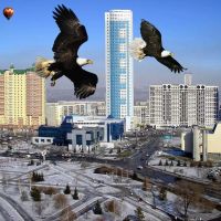Фантазия на тему любимый город, Новокузнецк