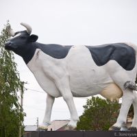 Памятник корове, Промышленная